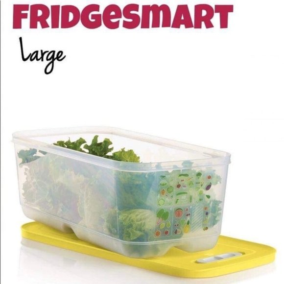 Tupperware Fridgesmart Large Container - Picture 1 of 1